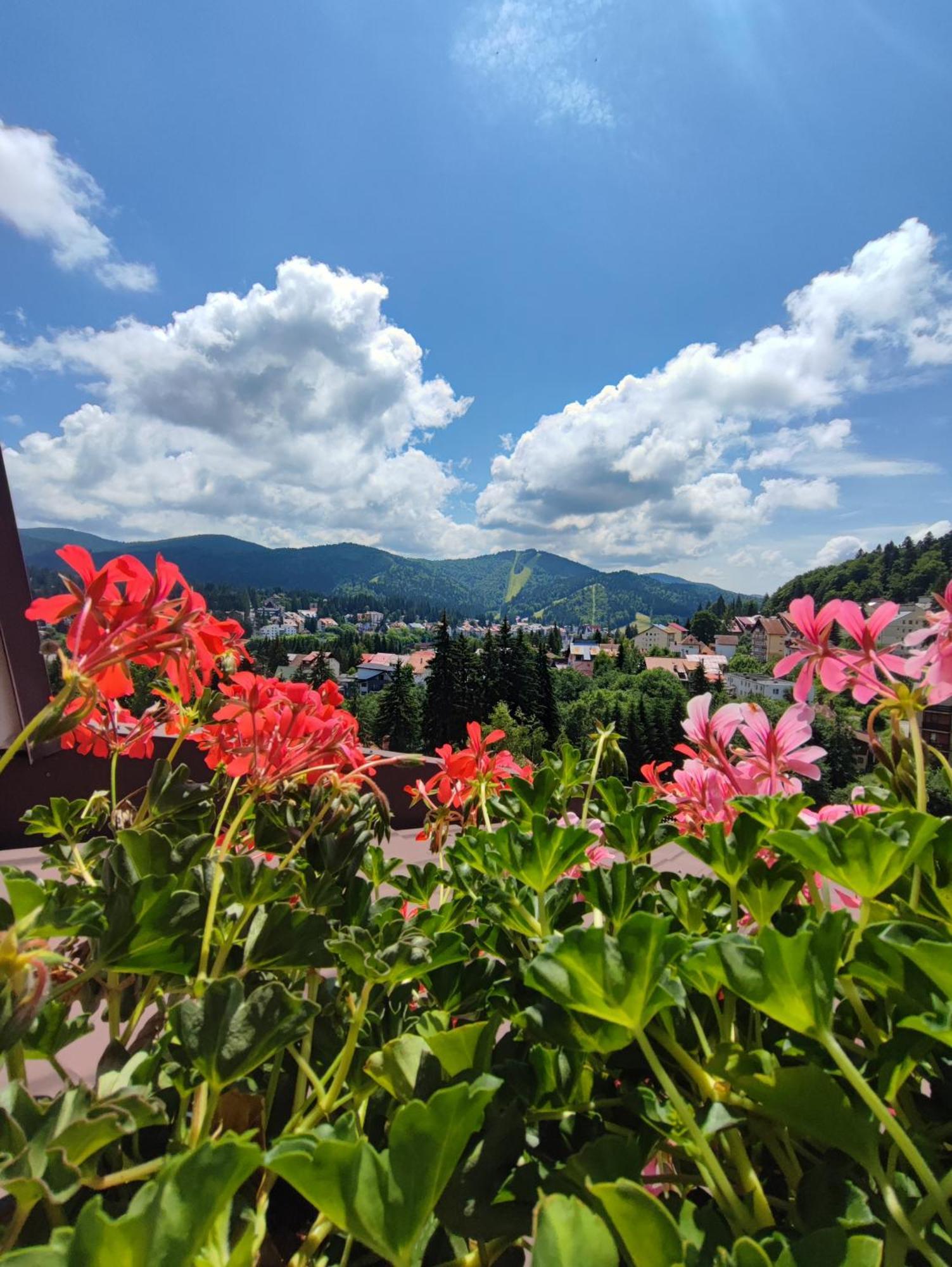 Hotel Orizont Predeal Dış mekan fotoğraf